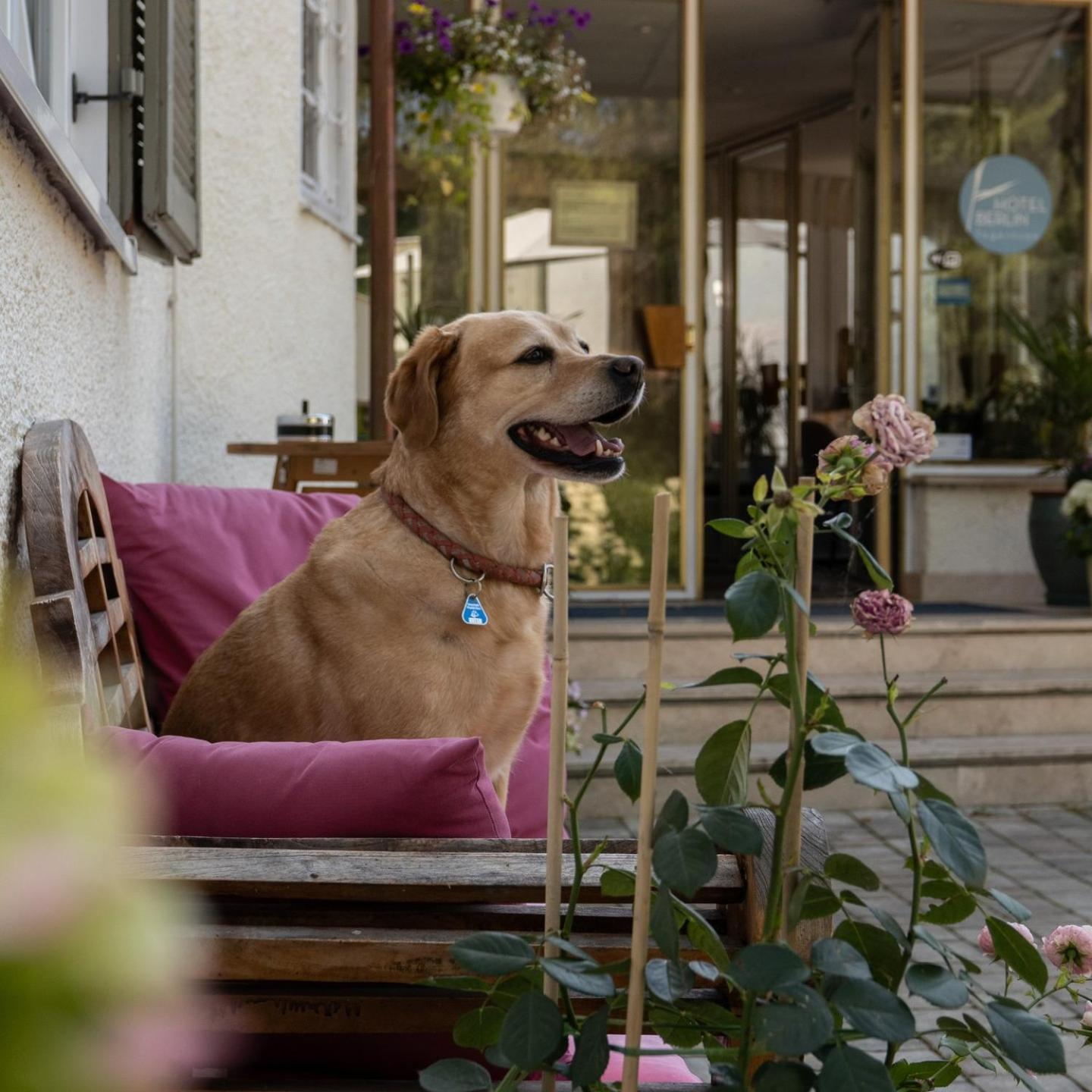 Hotel Berlin Tegernsee Rottach-Egern Bagian luar foto